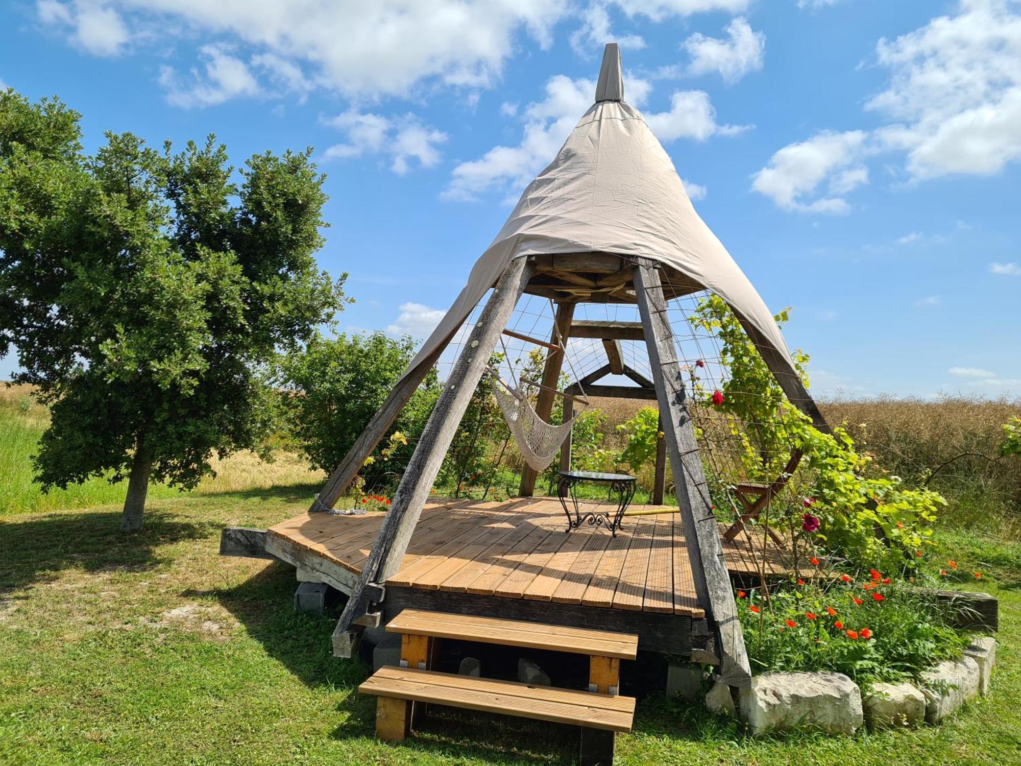 Moulin A Vent Romantique Et Atypique En Touraine *